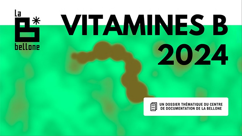 Dossier Thématique Vitamines B 2024
