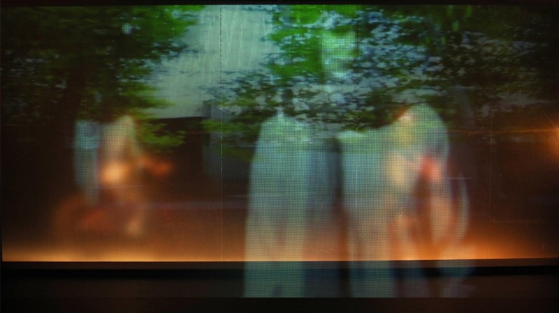 Amir Hossein Shojaei